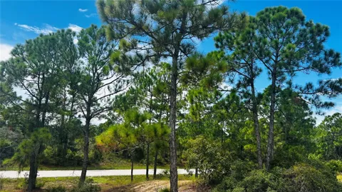 486 DREAMLAND DRIVE