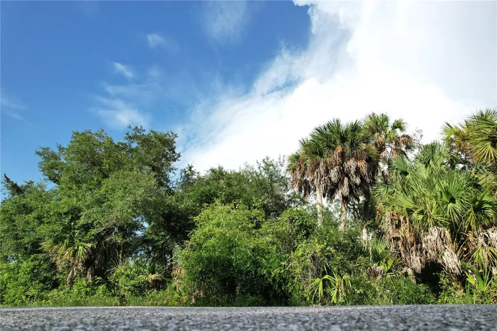 2140 FERNWOOD STREET Port Charlotte, FL 33948