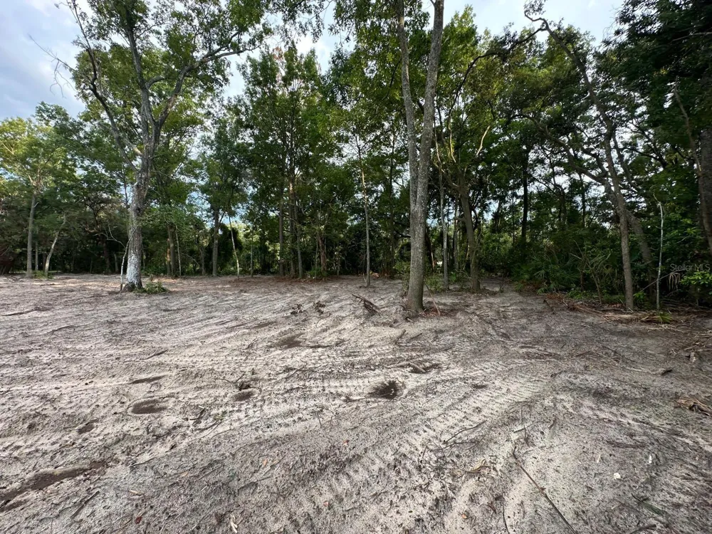 00 NW 115TH STREET Chiefland, FL 32626