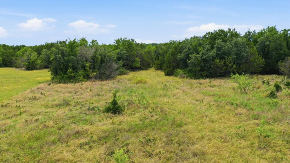 Jimmy Houston Way Bluff Dale, TX 76433