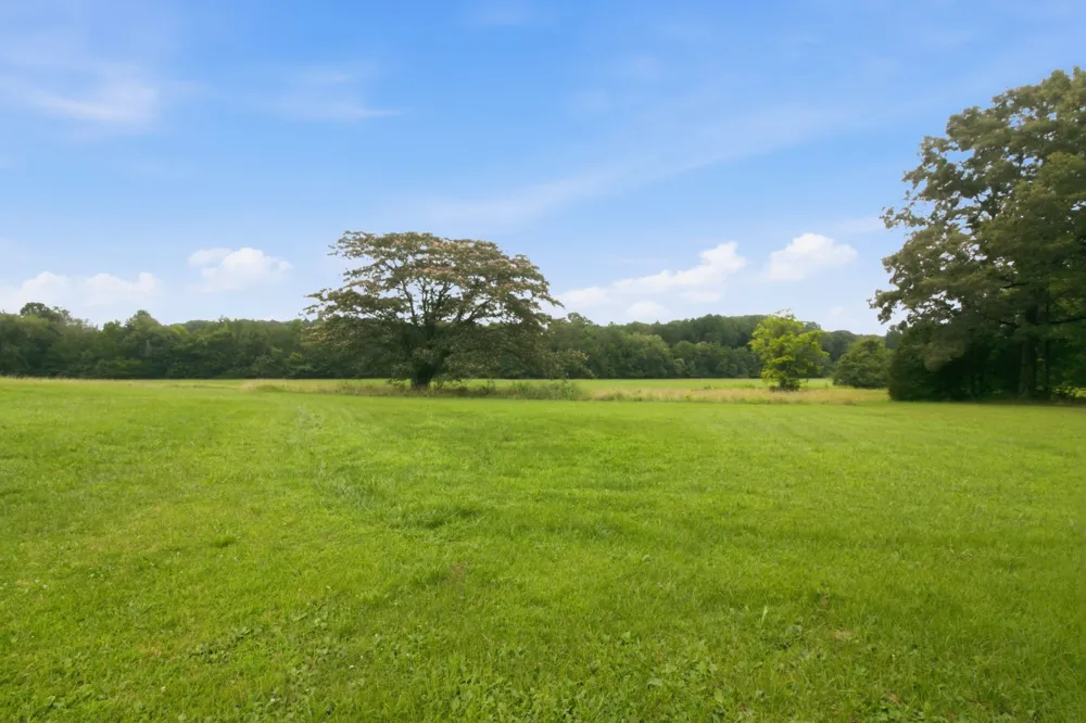 380 McIntosh Rd Paris, TN 38242
