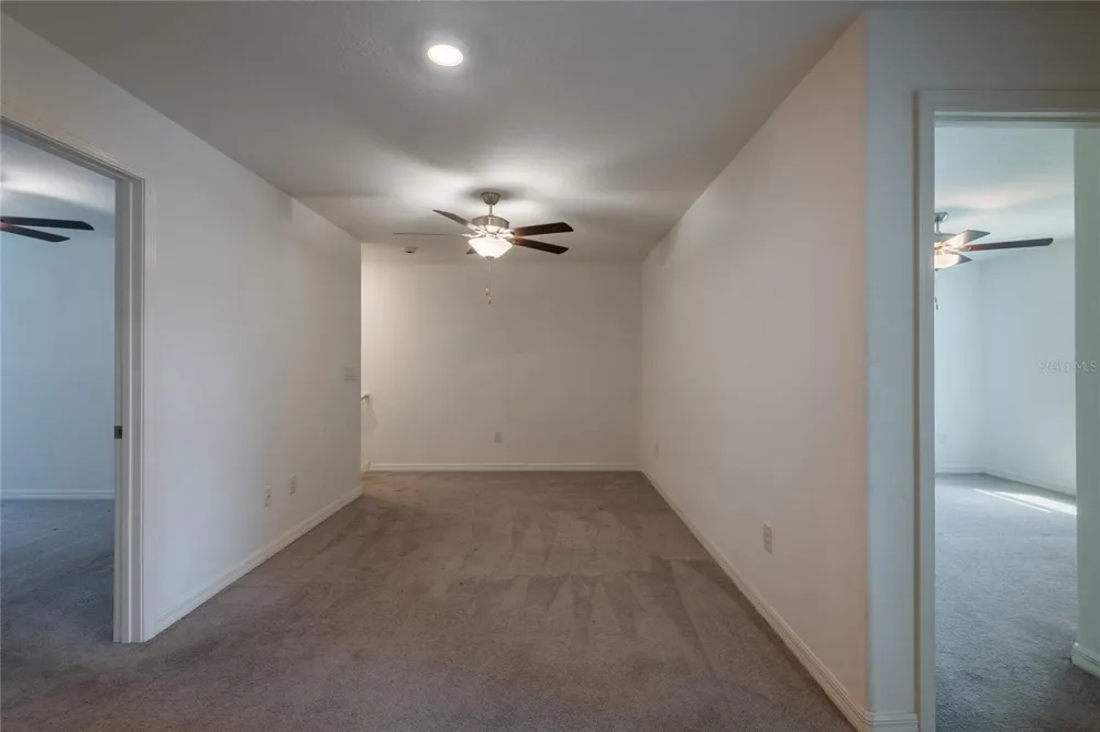 6262 SHINER STREET Land O Lakes, FL 34638