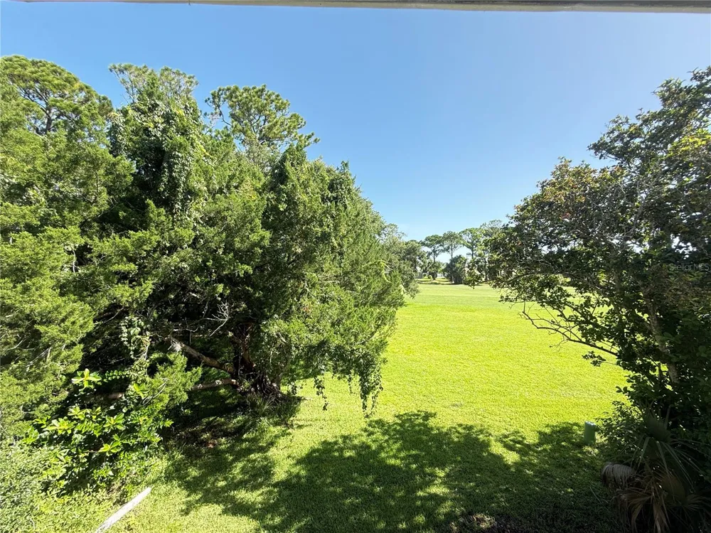 33 ANDREA DRIVE New Smyrna Beach, FL 32168