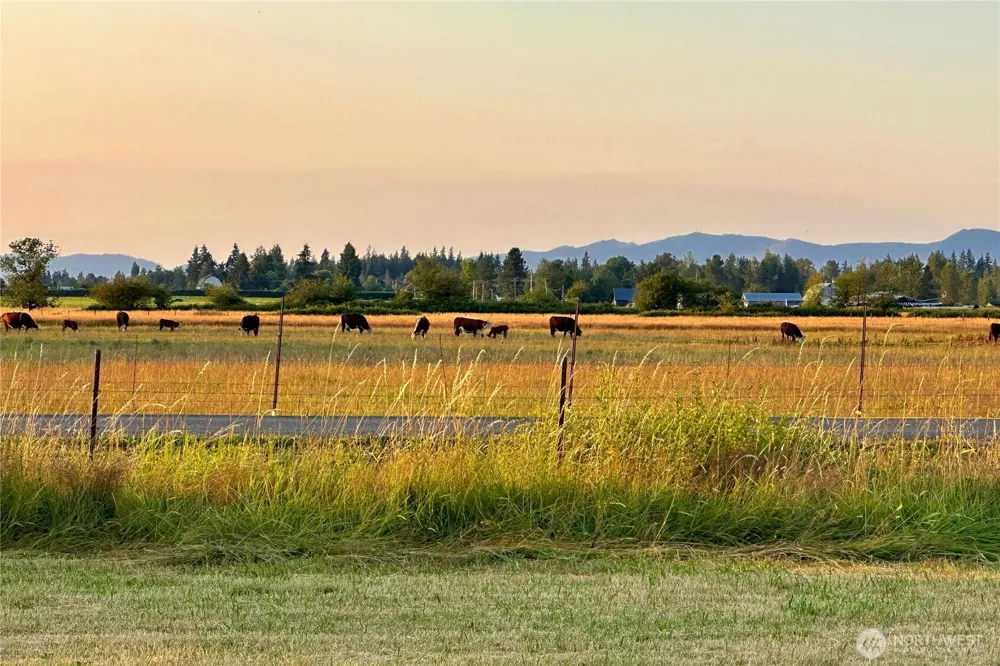 212 XX SE 448th Street Enumclaw, WA 98022