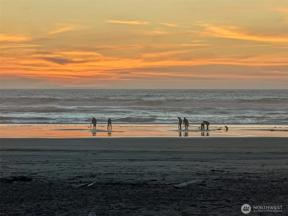 890 Magellan Avenue #1 Ocean Shores, WA 98569