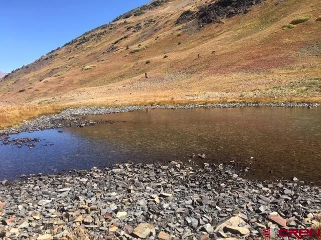 Forest Service 734 Road Crested Butte, CO 81224
