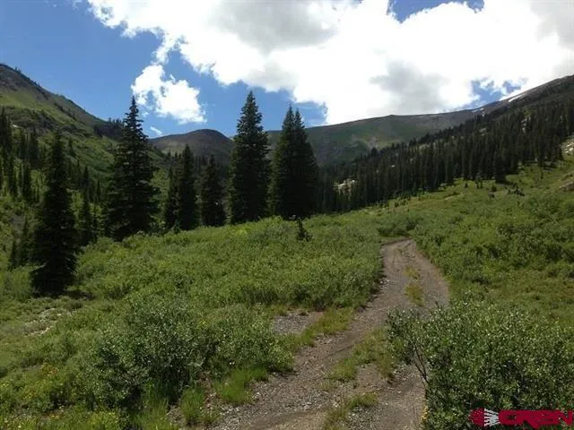 Forest Service 734 Road Crested Butte, CO 81224