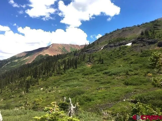 Forest Service 734 Road Crested Butte, CO 81224