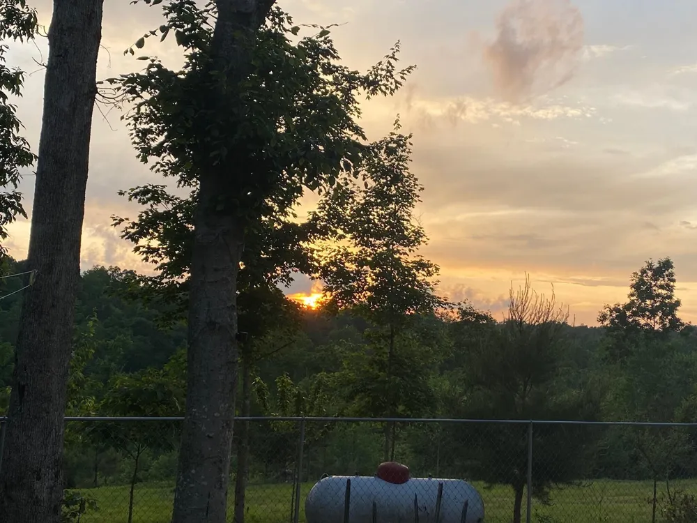 1751 County Road 50 Riceville, TN 37370