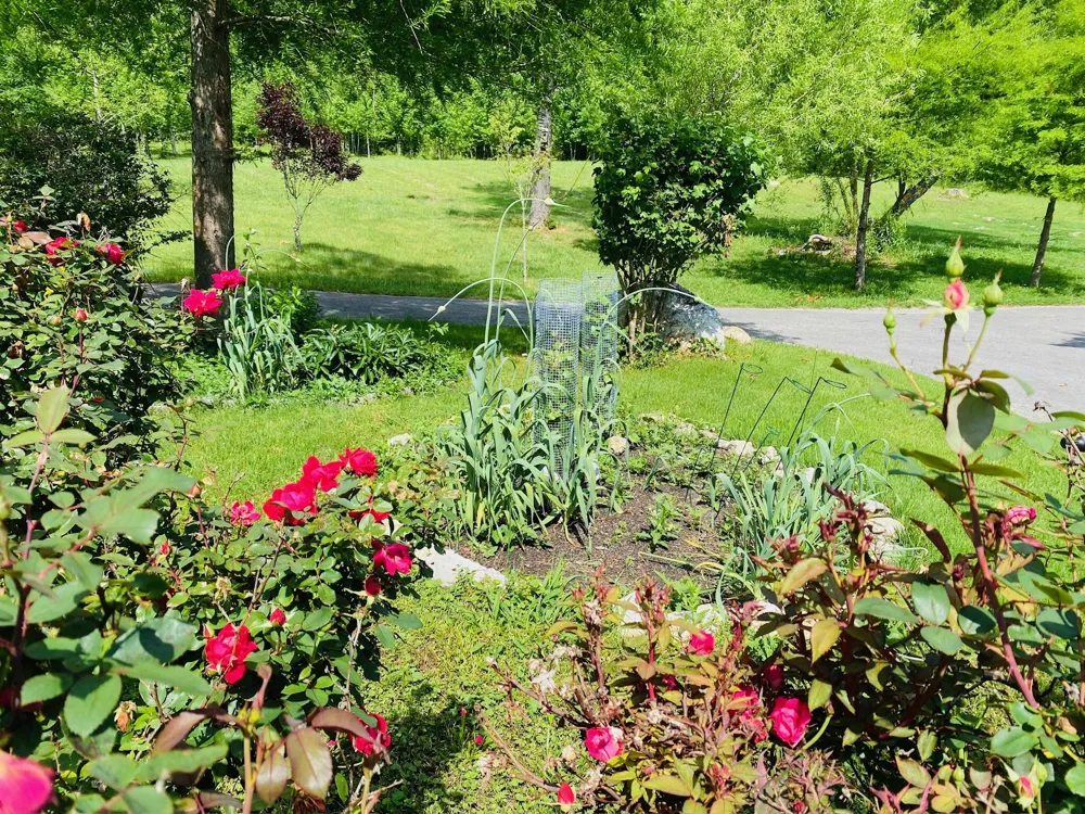 1751 County Road 50 Riceville, TN 37370