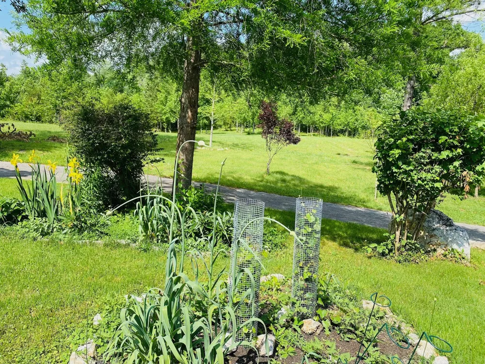 1751 County Road 50 Riceville, TN 37370