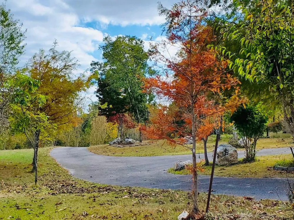 1751 County Road 50 Riceville, TN 37370