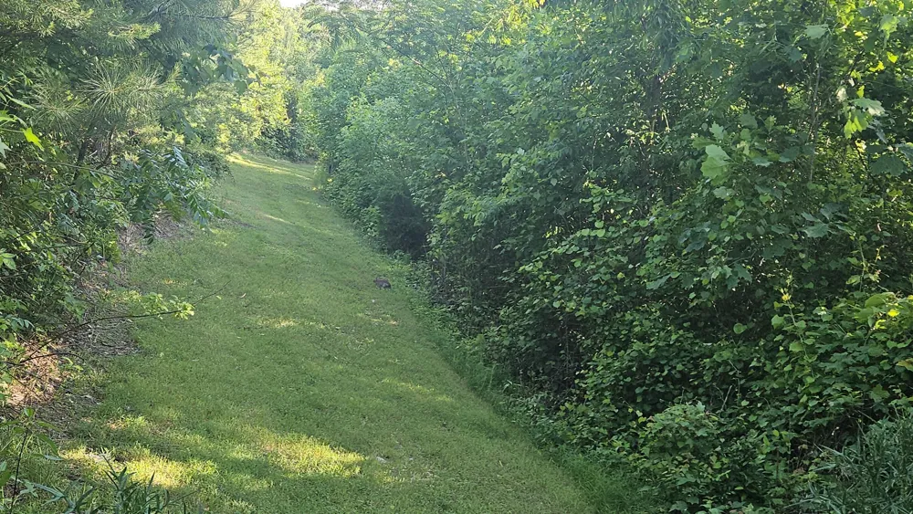 1751 County Road 50 Riceville, TN 37370