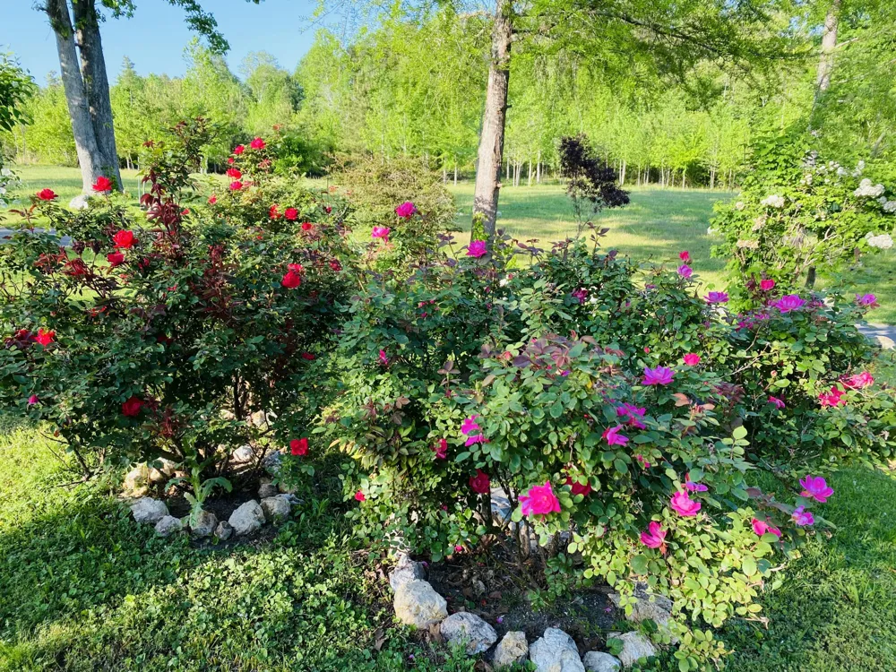 1751 County Road 50 Riceville, TN 37370