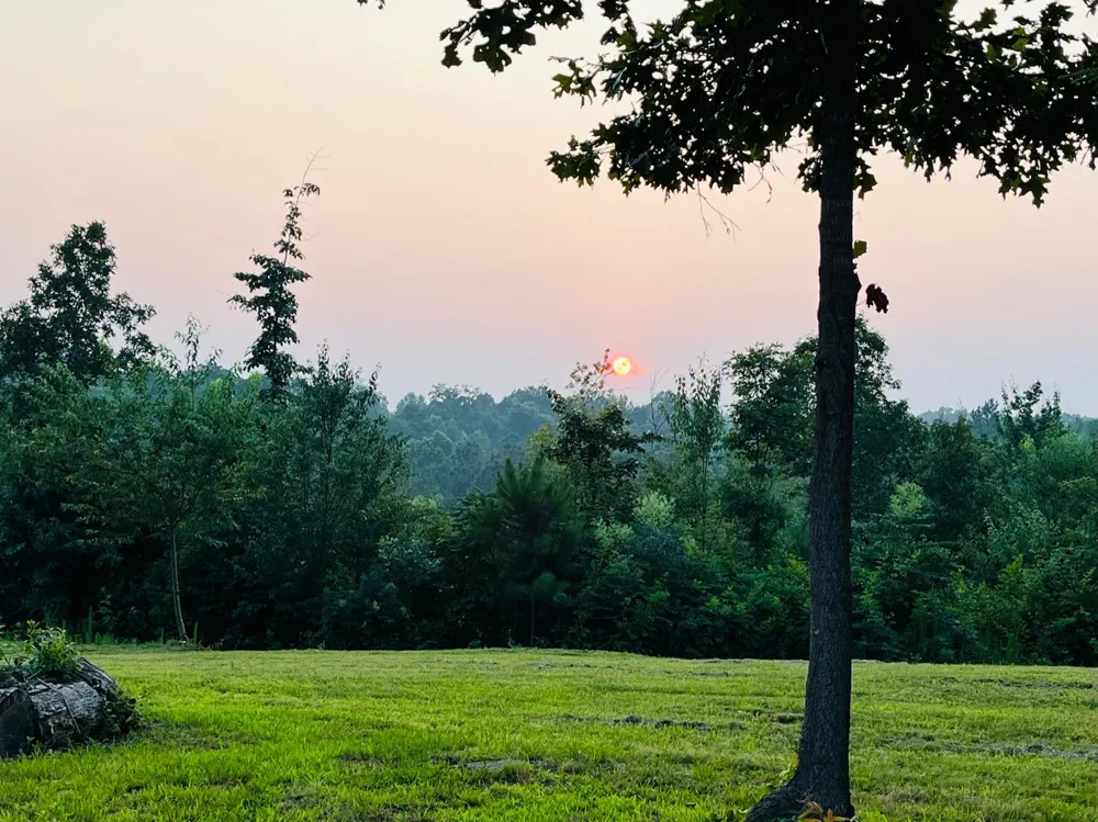 1751 County Road 50 Riceville, TN 37370