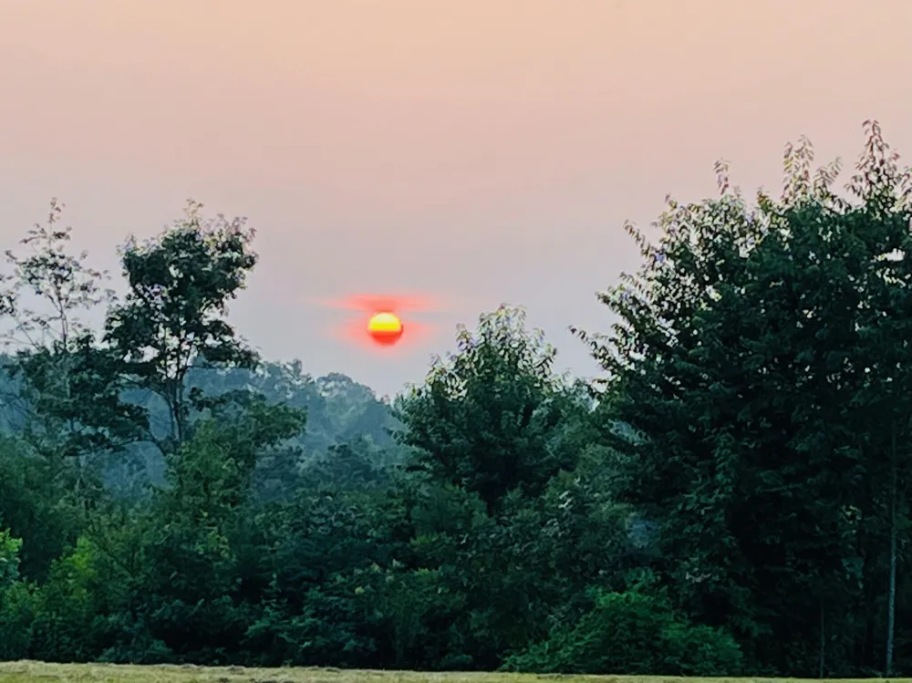 1751 County Road 50 Riceville, TN 37370