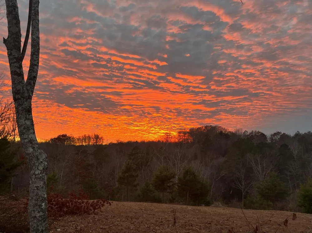 1751 County Road 50 Riceville, TN 37370
