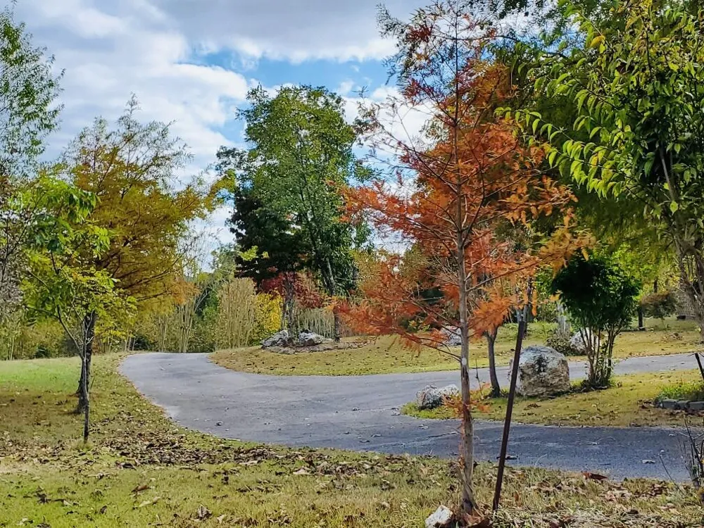 1751 County Road 50 Riceville, TN 37370