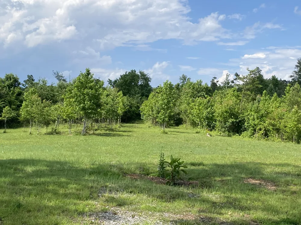 1751 County Road 50 Riceville, TN 37370