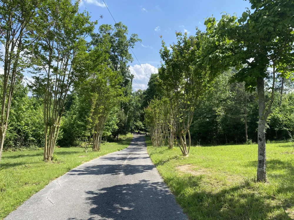 1751 County Road 50 Riceville, TN 37370