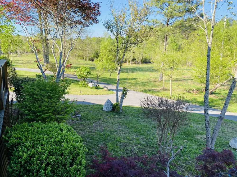 1751 County Road 50 Riceville, TN 37370
