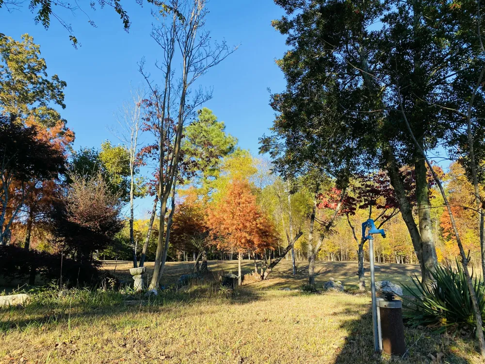1751 County Road 50 Riceville, TN 37370