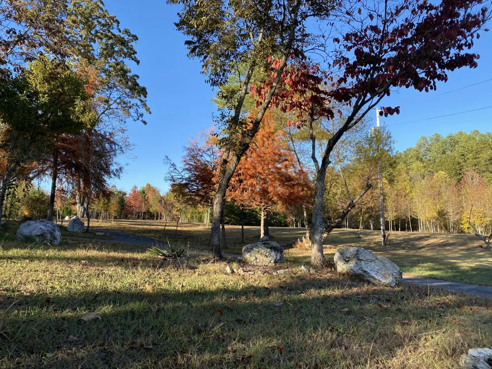 1751 County Road 50 Riceville, TN 37370