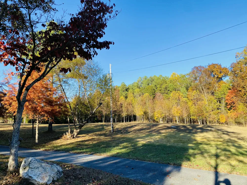 1751 County Road 50 Riceville, TN 37370