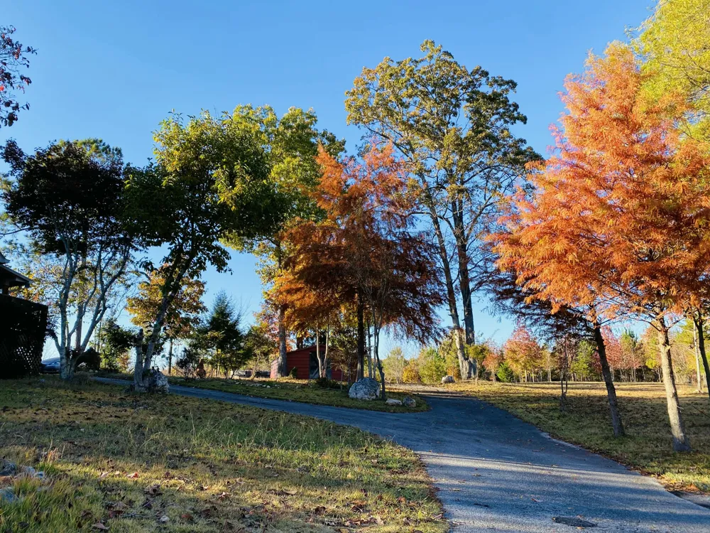 1751 County Road 50 Riceville, TN 37370