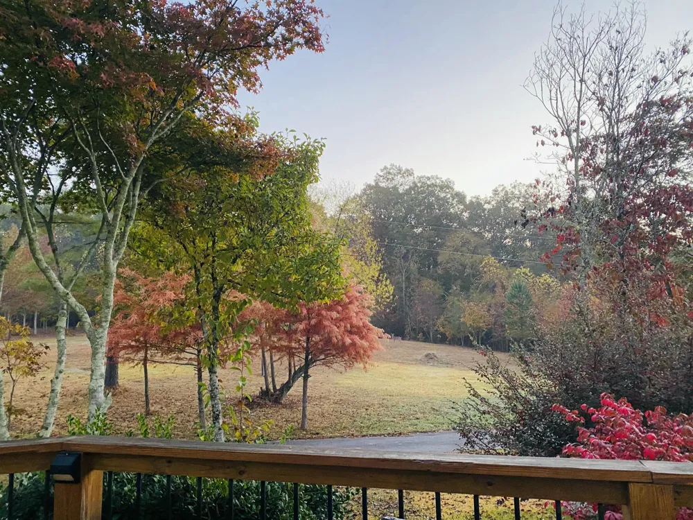 1751 County Road 50 Riceville, TN 37370