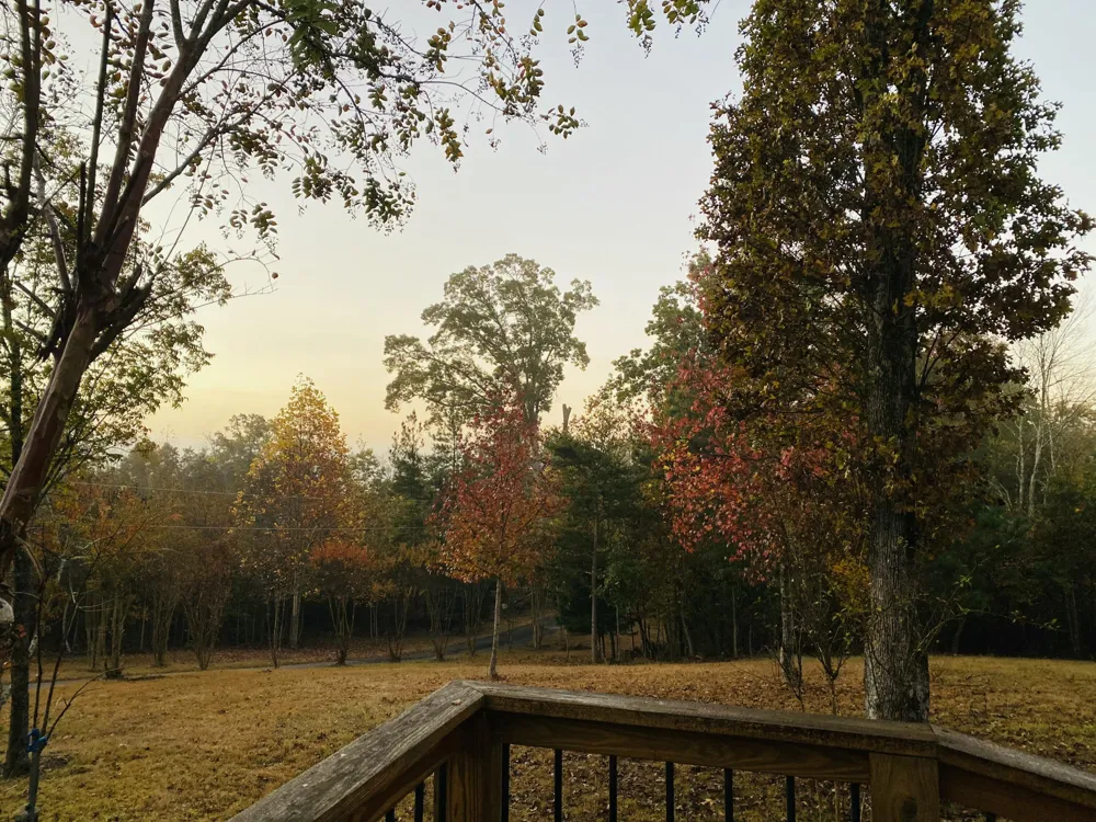 1751 County Road 50 Riceville, TN 37370