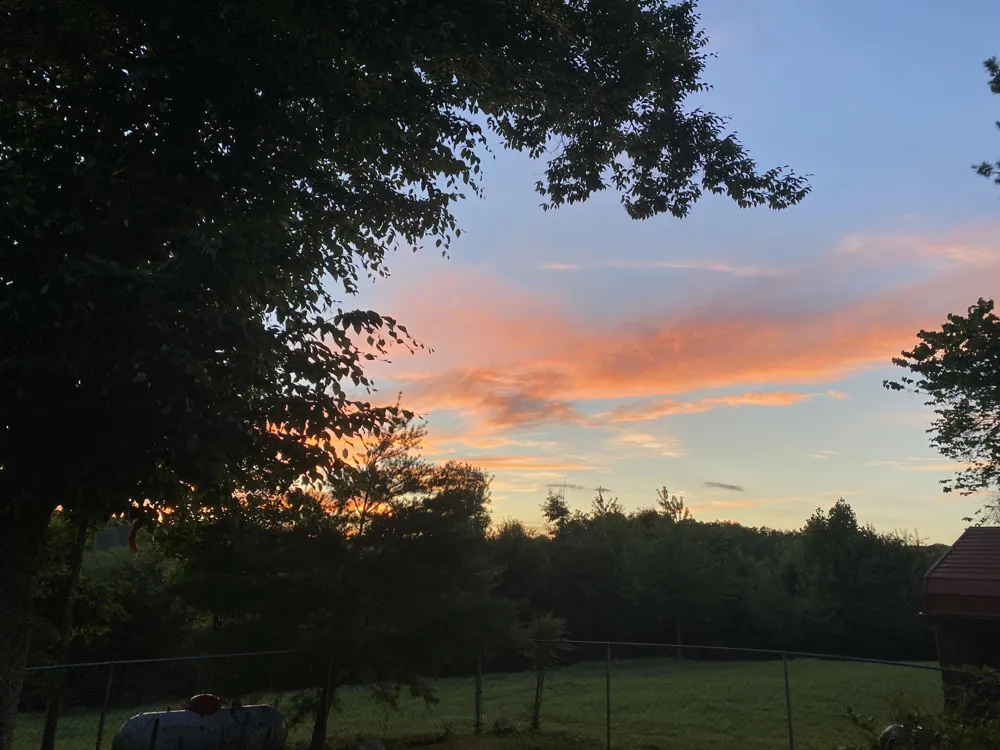 1751 County Road 50 Riceville, TN 37370