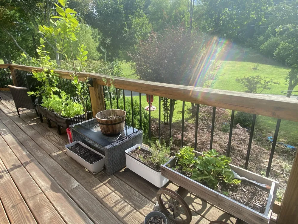 1751 County Road 50 Riceville, TN 37370