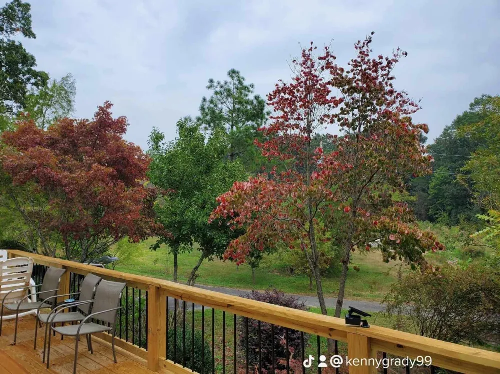 1751 County Road 50 Riceville, TN 37370