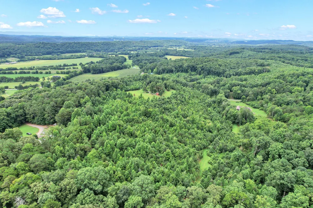 1751 County Road 50 Riceville, TN 37370