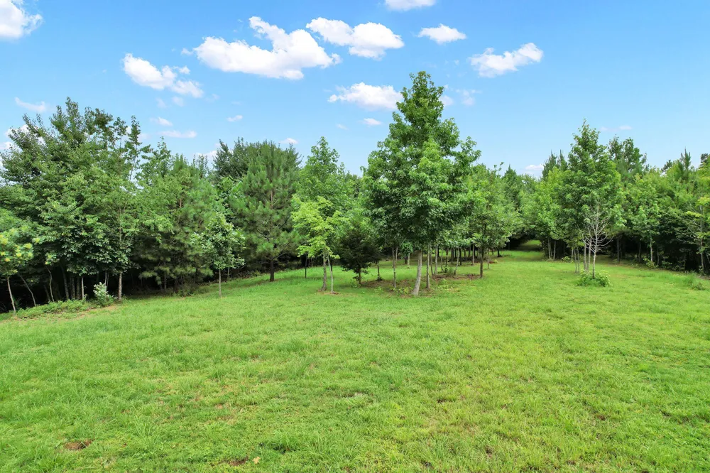 1751 County Road 50 Riceville, TN 37370