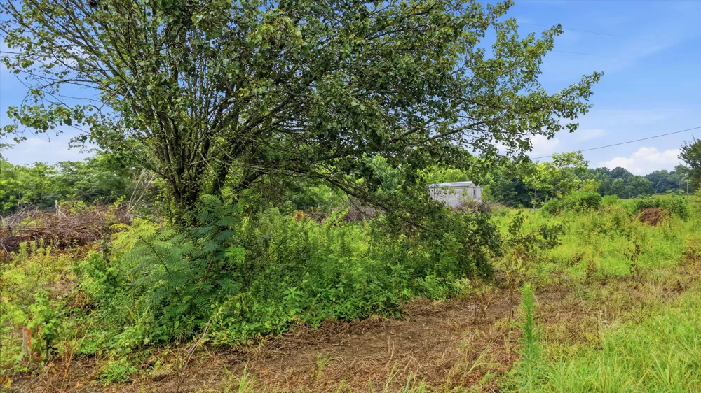 301 County Road 315 Bryant, AL 35958