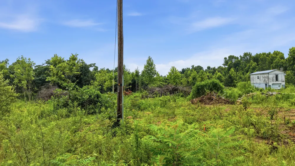 301 County Road 315 Bryant, AL 35958