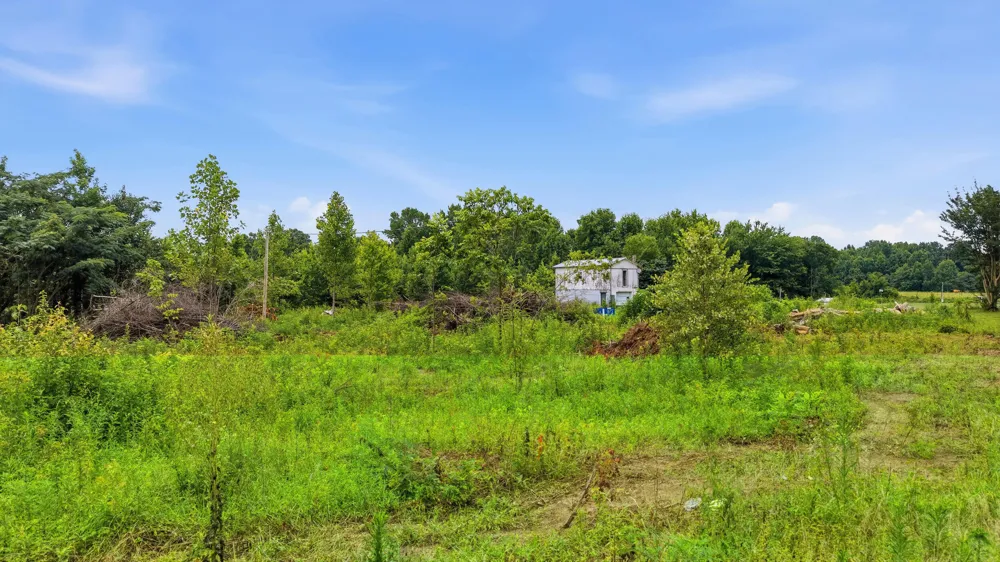 325 County Road 315 Bryant, AL 35958