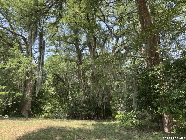 00 B & B Road Seguin, TX 78155