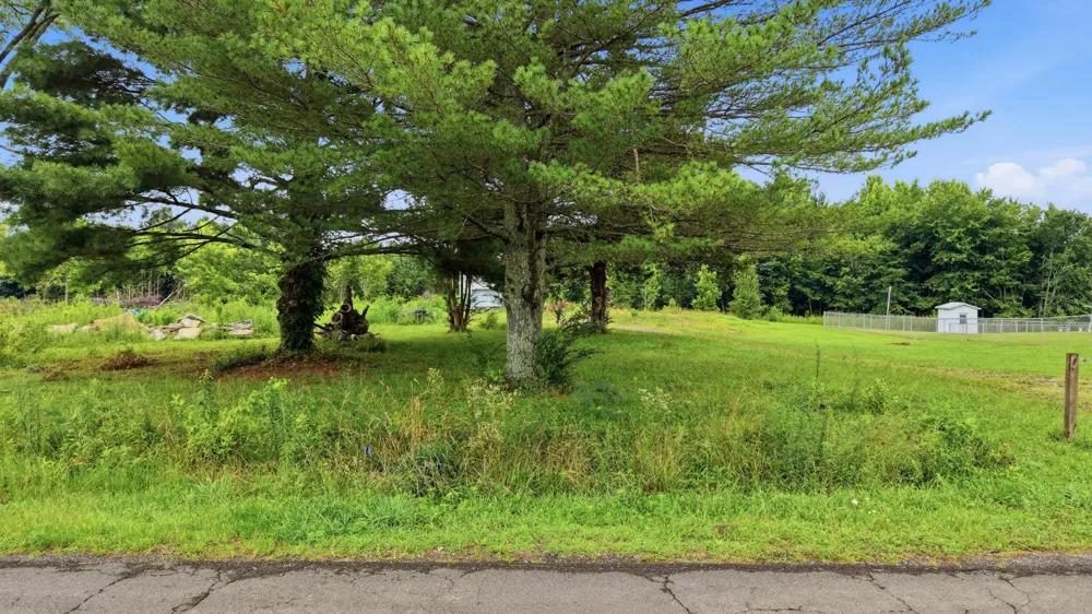 319 County Road 315 Bryant, AL 35958