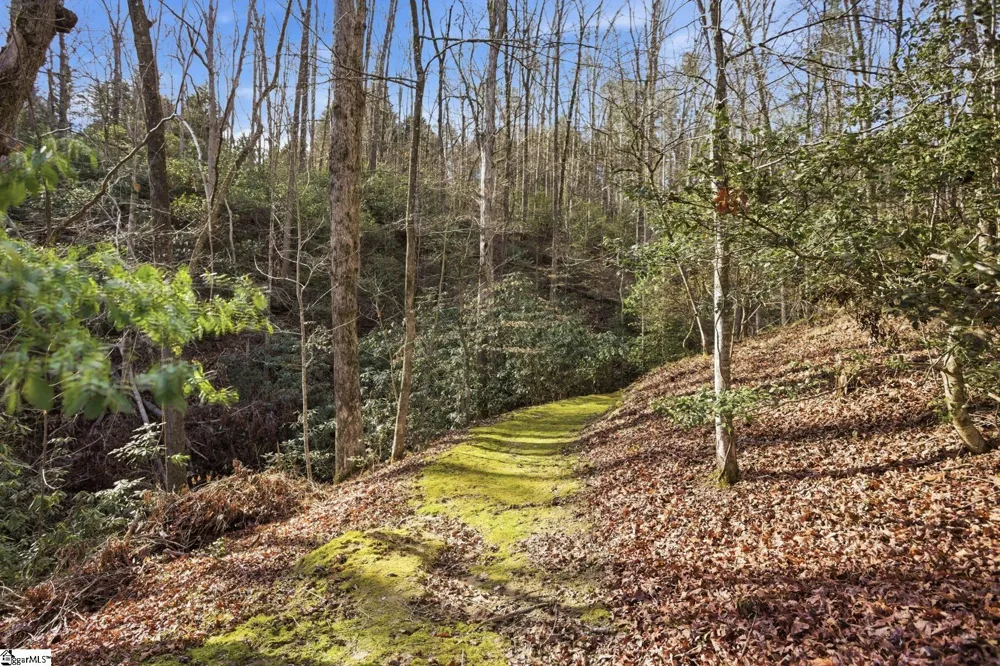 320 Holly Lane Walhalla, SC 29691