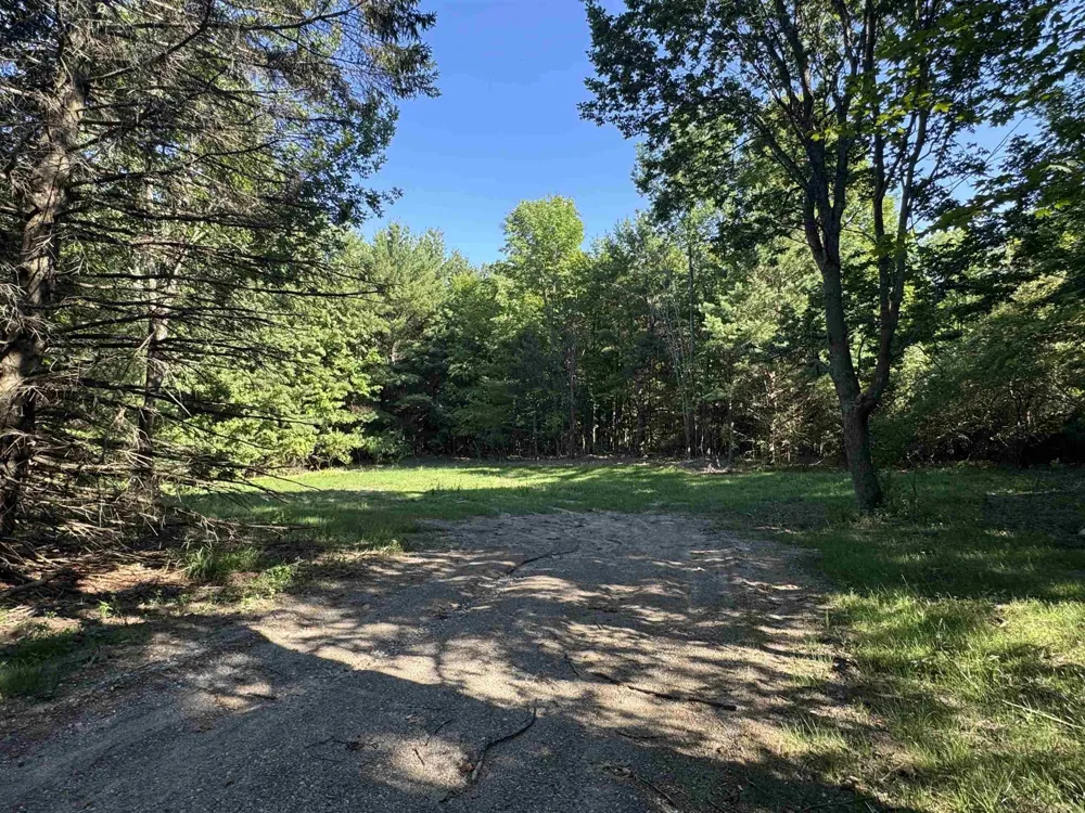 E Bellinger Road Kasson Township, MI 49621