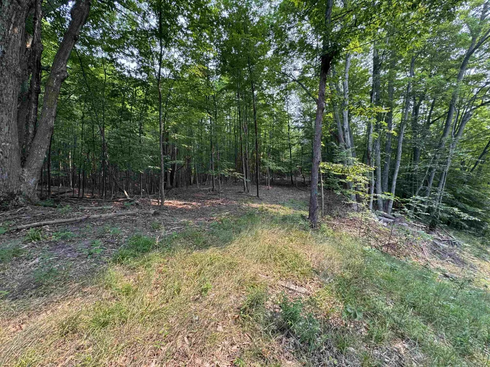 E Bellinger Road Kasson Township, MI 49621