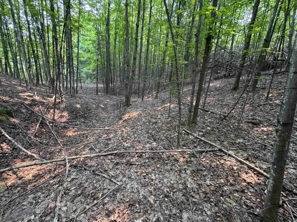 E Bellinger Road Kasson Township, MI 49621