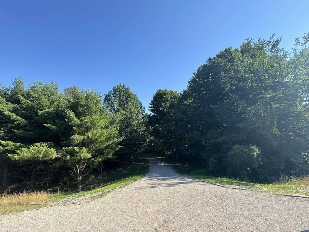 E Bellinger Road Kasson Township, MI 49621
