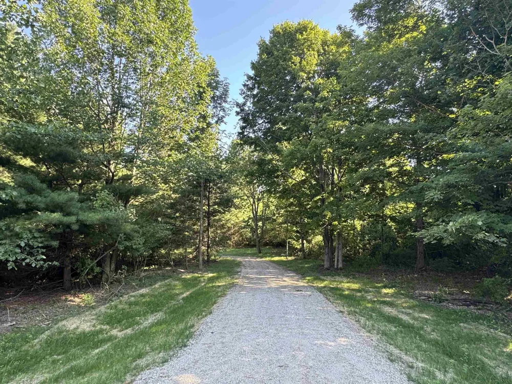 E Bellinger Road Kasson Township, MI 49621
