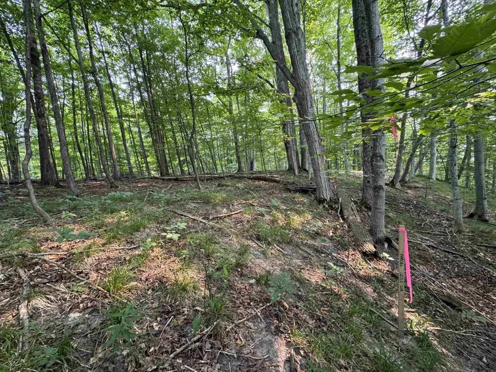 E Bellinger Road Kasson Township, MI 49621