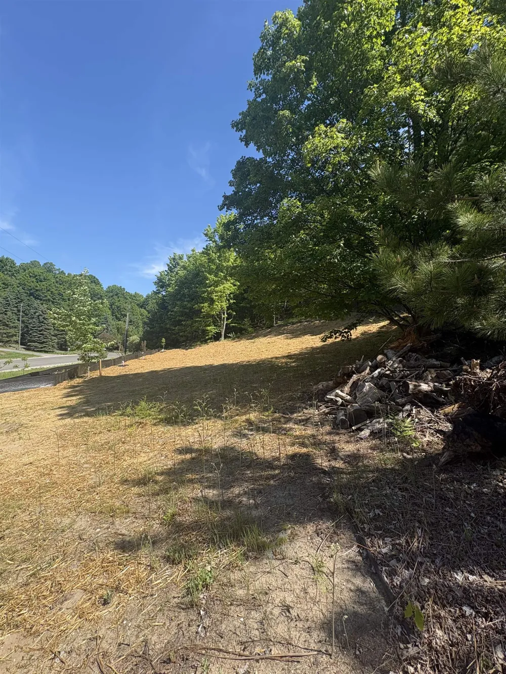 9394 E Hoxie Road Elmwood Charter Township, MI 49621