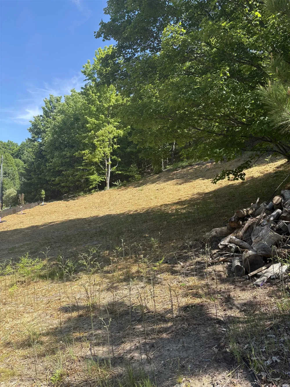 9394 E Hoxie Road Elmwood Charter Township, MI 49621